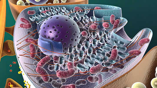 3d医疗插图疾病化学生物学细胞膜系统艺术品细胞学人体失智细胞图片