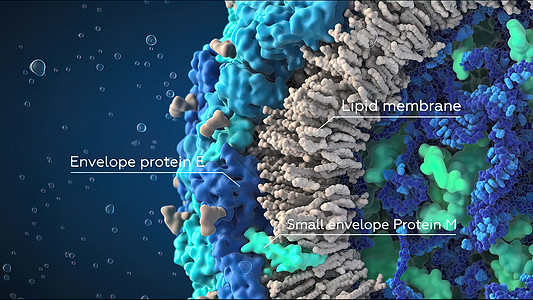 3D 黑背景单元格和内部结构的3D插图计算机细胞动脉硬化分子抗体核子细胞质绘图专注保健图片