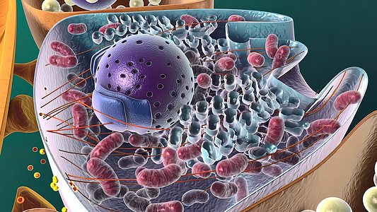 3d医疗插图酵素生物学艺术品细胞化学疾病人体细胞学细胞膜中枢神经图片