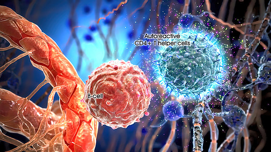 电帮助细胞在免疫细胞表面进行交互作用信号基因技术老化药品网络酵素死亡斑块生物学图片