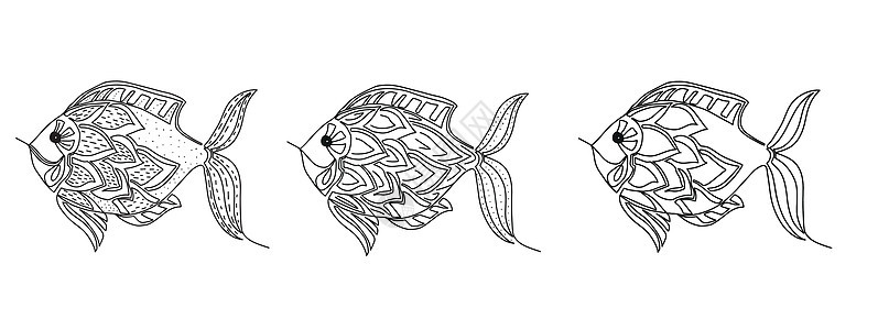 由三条装饰性鱼组成的一组三只装饰性鱼 白黑插图以白色背景突出显示图片