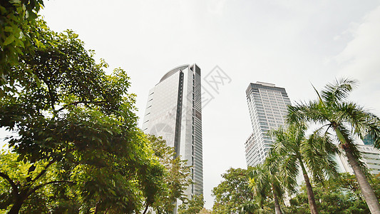 以棕榈树为背景的摩天大楼 拍摄运动 马尼拉马卡蒂区 菲律宾街道国家市中心粘性城市商业建筑交通生活景观图片