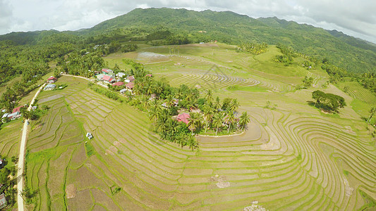 菲律宾的稻田 Bohol岛 有房屋的菲律宾村落图片