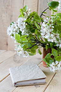 一束果树开花枝的花束和一张未涂漆的木本上的旧纸条花瓶日记笔记本记录棕色树枝秘密白色绿色花朵图片