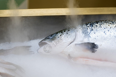 超市货架上的新鲜鱼 冷却冷却冷蒸汽图片