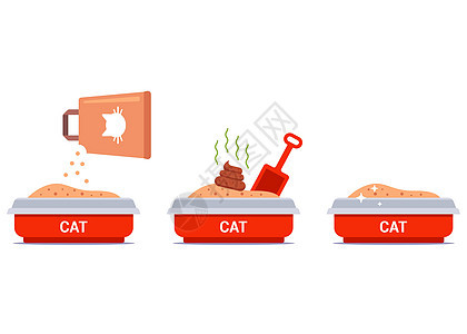 猫的垃圾箱 为猫清洗粪便 把填充器倒进托盘图片