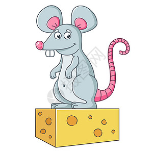 一只大灰鼠站在一块奶酪上 一个吃得饱的老鼠图片