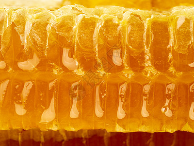 蜂蜜蜂窝闭合 新鲜的细丝滴滴糖蜜 宏观背景蜂蜡生产保健六边形橙子荒野卫生食物细胞蜂巢图片