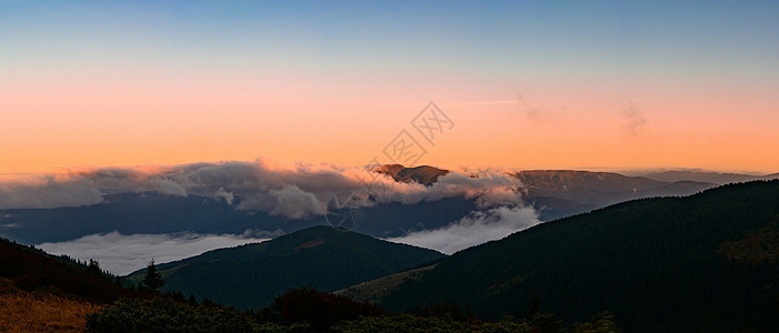 晨雾中的Petros山 黎明时势覆盖的山脉 乌克兰神奇的山脉旅行风景爬坡森林云杉公司全景木头季节植物图片