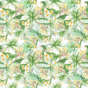 热带热带无密封无缝的生态型式鸡蛋花装饰植物棕榈纺织品水彩插图情调墙纸绘画图片