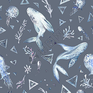 无缝水彩蓝蓝和灰鲸模式哺乳动物三角形海蜇鲸鱼珊瑚海洋绘画座头鲸海洋生物靛青图片