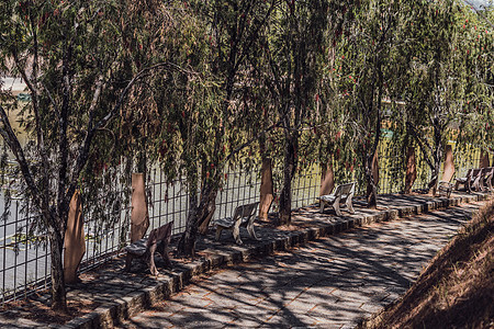 公园湖边围栏长凳沿着石路人行道排成一排 平静的森林空无一人 外面自然新鲜空气 绿树叶 夏日木头影子太阳日图片