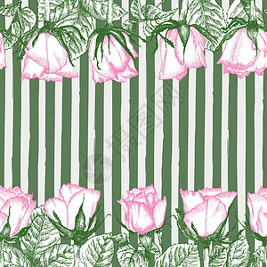 手画草图粉红玫瑰 详细古代植物透析法 花纹框 黑色的双光影是白底漆成的金属艺术墙纸花束插图纺织品优美织物叶子围巾图片