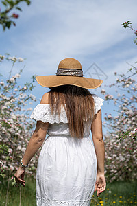 年轻的caucasian年轻女人 享受着苹果树的开花叶子女士植物群花园公园季节女性女孩香气花朵图片