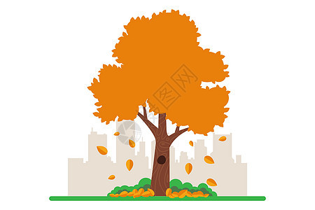 在秋天 黄叶从树上落到地上生态季节树叶森林植物卡通片橙子橡木叶子植物学图片
