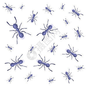 蚂蚁力量白色背景的蚁群 昆虫害虫插画