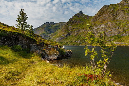 一个人坐在石头上 欣赏风景如画的挪威山湖海岸 靠近罗弗敦群岛 山坡上覆盖着绿草蓝色山脉旅游荒野海滩岩石房子假期爬坡道旅行图片