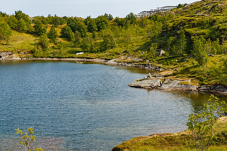 一个人坐在石头上 欣赏风景如画的挪威山湖海岸 靠近罗弗敦群岛 山坡上覆盖着绿草岩石山脉旅行峡湾爬坡道海岸房子日落晴天天空图片