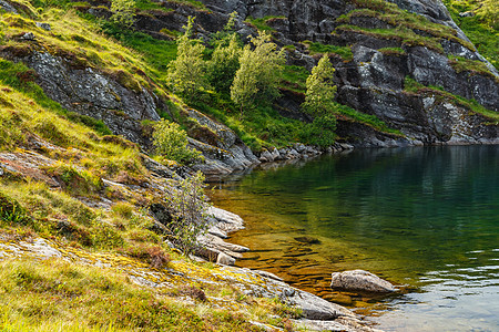 挪威山湖风景如画的海岸靠近罗弗敦群岛 绿草覆盖的山坡被阳光照亮 最纯净的水海滩反射假期日落爬坡蓝色房子悬崖旅游荒野图片