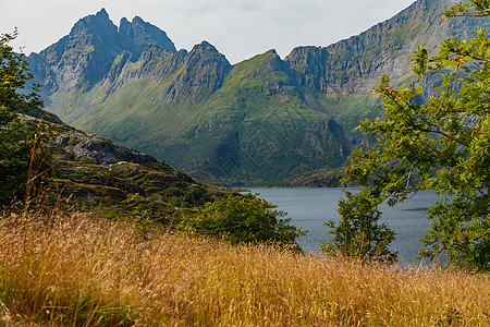 挪威山湖风景如画的海岸靠近罗弗敦群岛 绿草覆盖的山坡被阳光照亮 最纯净的水旅行全景悬崖反射山脉房子旅游岩石爬坡峡湾图片