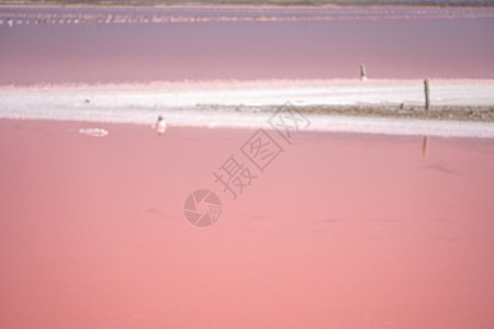 粉红色的盐晶体 天然粉红色盐湖纹理 采盐 含盐量极高的粉红色湖泊 由微藻和结晶盐沉积物着色支撑吸引力旅行海洋国家海岸水晶沙漠天空图片
