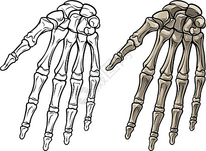 图形化黑白人骨肉手向矢量图片