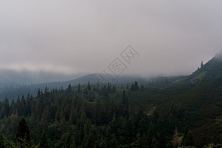 在雨天和大雾天 暴风雨和雷暴前的山区黄昏 恶劣的天气条件 喀尔巴阡山脉的山峰国家森林旅行农村公园热带丛林顶峰风景下雨图片