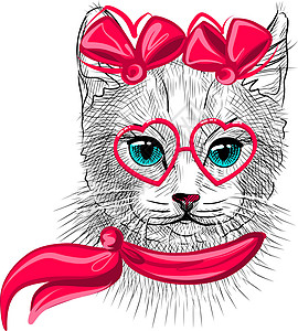 说明 用粉色眼镜戴有弓和围巾的可爱猫 以现实的方式涂鸦图片