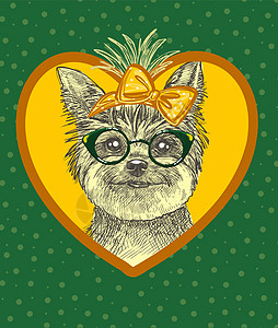 时尚可爱的狗穿着时髦的绿色眼镜 头顶上有手帕图片