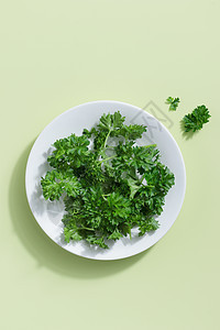 绿背景的帕斯利蔬菜白色草本植物沙拉美食盘子饮食香菜绿色叶子图片