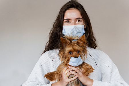 戴口罩的大狗与戴着医用口罩的狗一起进行兽医检查 有吸引力的兽医持有约克夏犬 大流行 冠状病毒的概念 流感爆发期间的健康保护女孩医生头发犬类工背景