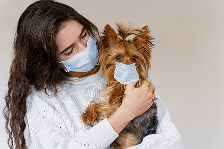与戴着医用口罩的狗一起进行兽医检查 有吸引力的兽医持有约克夏犬 大流行 冠状病毒的概念 流感爆发期间的健康防护头发女士女孩工作室图片