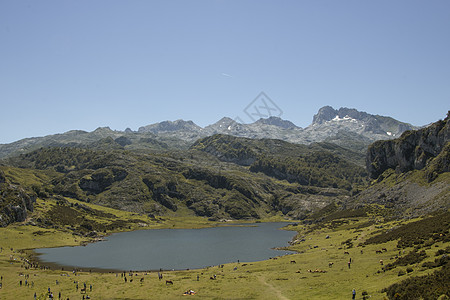 西班牙的Covadonga湖山脉风景游客旅行旅游天空远足图片