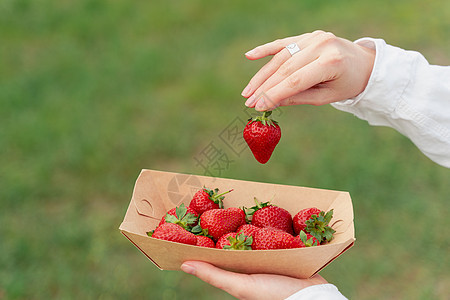 草莓放在手头 草莓放在可支配生态板上 绿色背景的绿皮团体农业维生素桌子生态收成味道红色花园水果图片