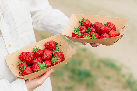 绿背景妇女手中可支配生态板中的草莓 以绿色背景为己任健康食物维生素花园水果收成团体盘子农业桌子图片