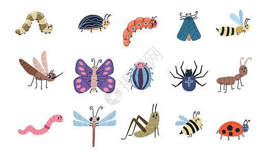 可爱虫和昆虫 卡通蚂蚁蜘蛛蝴蝶字符 病媒昆虫收集图片