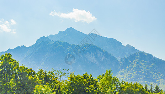 奥地利邦高萨尔茨堡的极好的木林山和高山全景图片