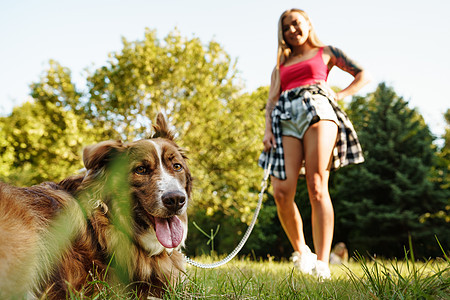 和女主人一起在公园散步的边境狗动物绿色犬类皮带宠物女孩乐趣女性友谊日光图片