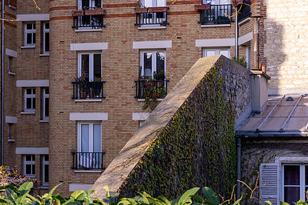 巴黎公寓砖房 窗台上有鲜花和绿绿灯图片
