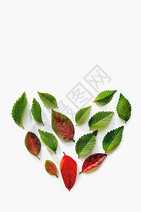 在白色背景上由红色和绿色叶子制成的心形的顶部视图 热爱大自然 平躺概念与复制空间背景图片