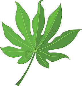热带森林绿树花叶(绿色树叶)图片