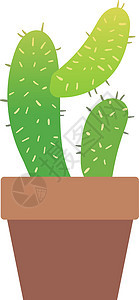 Cactus 图标 绿色房屋装饰 锅中的外来植物图片