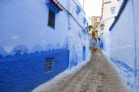 摩洛哥街 摩洛哥麦地建筑学街道蓝色村庄遗产文化建筑地标房子图片