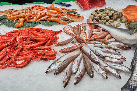出售的鱼 甲壳类动物和海鲜海洋甲壳营养销售小龙虾鱿鱼饮食乌贼市场渔业图片