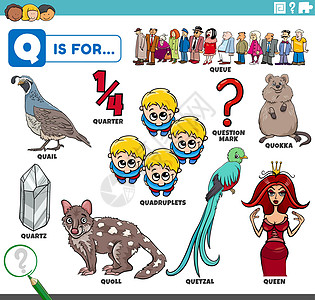 q 字词 带有卡通字符的教育设置鹌鹑字母幼儿园资产游戏短尾学校插图问号袋鼬图片