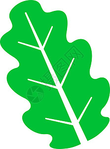 树叶图标 绿森林徽章 自然花园标志图片