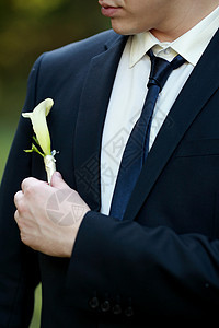 婚礼细节 漂亮的布丁 男人的详情  新郎胸花按钮玫瑰领带引座员衣服女佣衣领套装男性图片