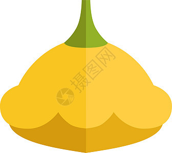 黄色 patisson 图标 Raw 壁球平板符号图片