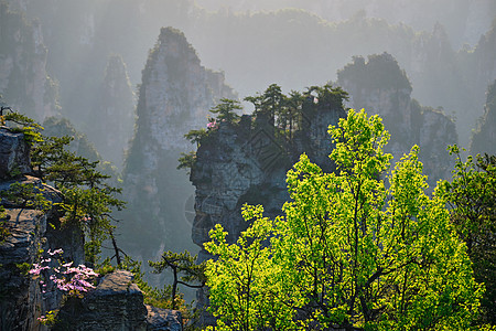 中国张家江山游客山脉悬崖砂岩风景化身旅游柱子旅行公园图片