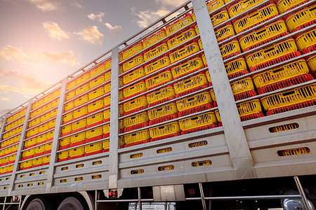 用卡车将鸡从畜牧场运输到食品厂 家禽业 禽流感 A(H5) 病毒或 H5 禽流感概念 拖车运输牲畜 黄色塑料板条箱中的鸡图片
